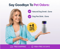 Pet Odour Humidifier – PetFresh-Black-State of Style