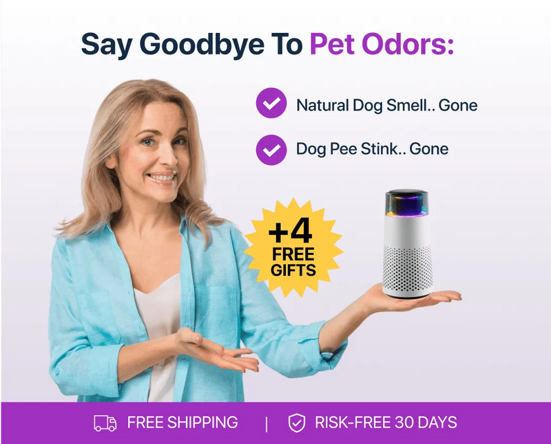 Pet Odour Humidifier – PetFresh-Black-State of Style