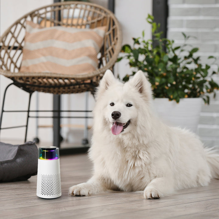 Pet Odour Humidifier – PetFresh-Black-State of Style