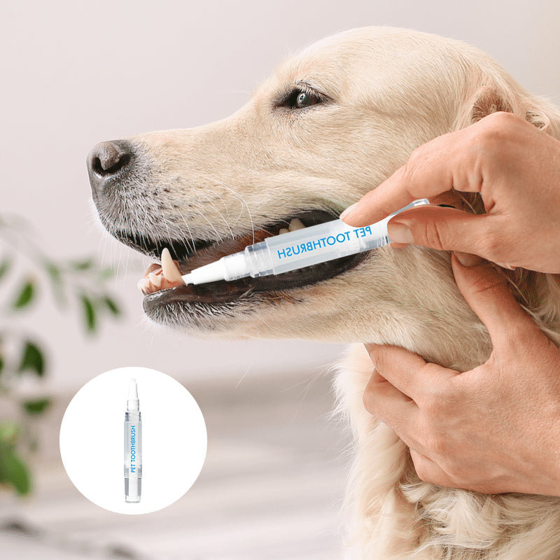 Pet Toothbrush Pen – PetSmile-1 piece-State of Style