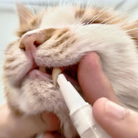 Pet Toothbrush Pen – PetSmile-1 piece-State of Style