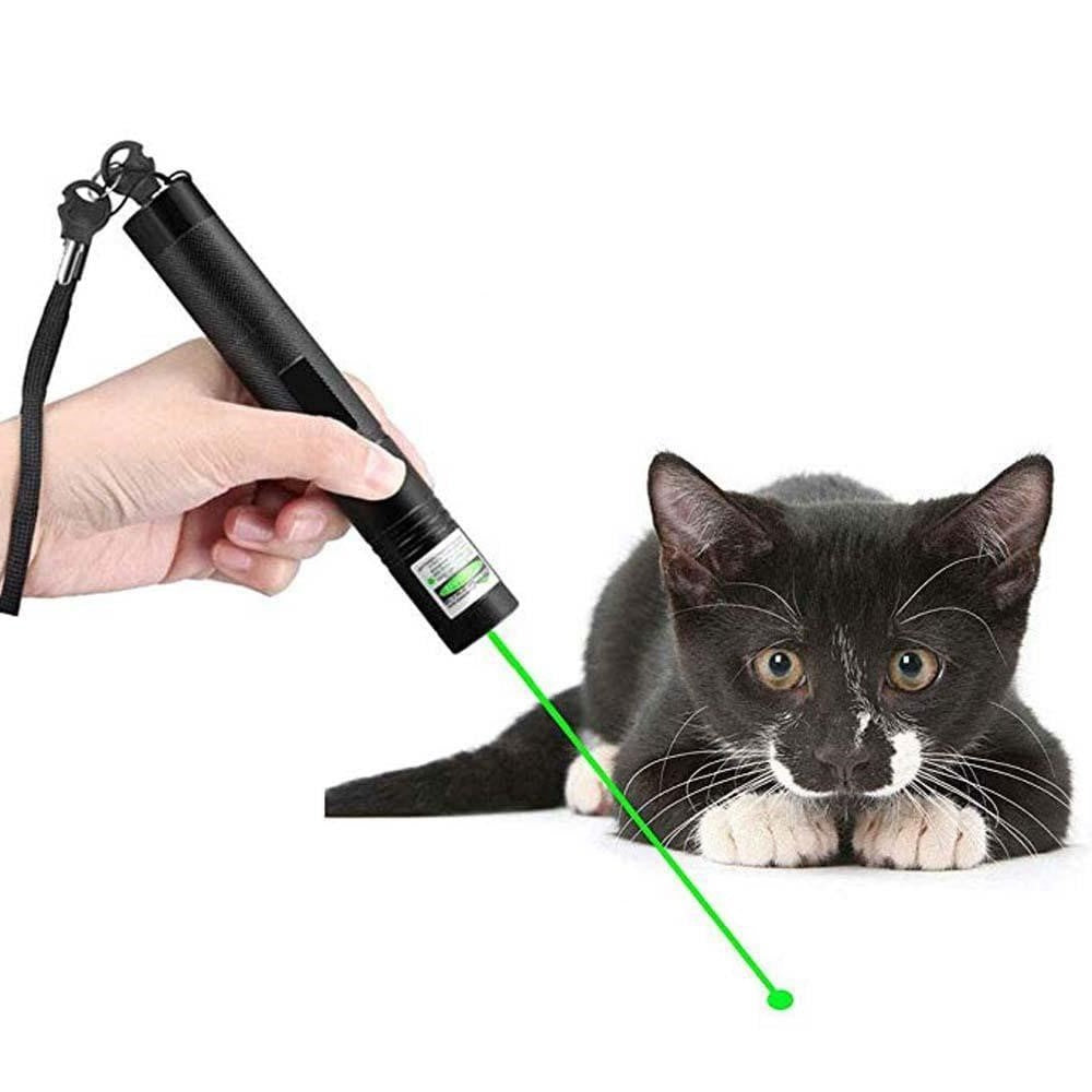 Powerful Laser Pointer - PrecisionBeam-Green-State of Style