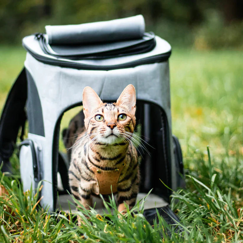 PurrPack™ Cat Backpack-Grey-State of Style