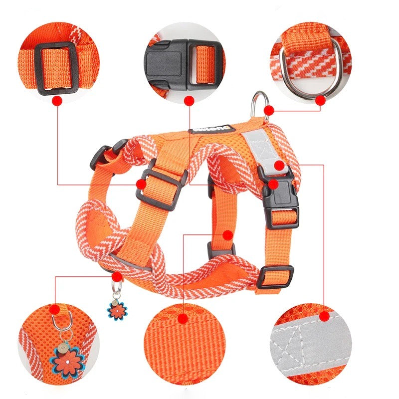 Reflective Harness and Leash Set for Small Dogs - AirFlex-Sky blue-S-State of Style