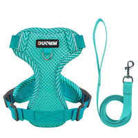 Reflective Harness and Leash Set for Small Dogs - AirFlex-Sky blue-S-State of Style