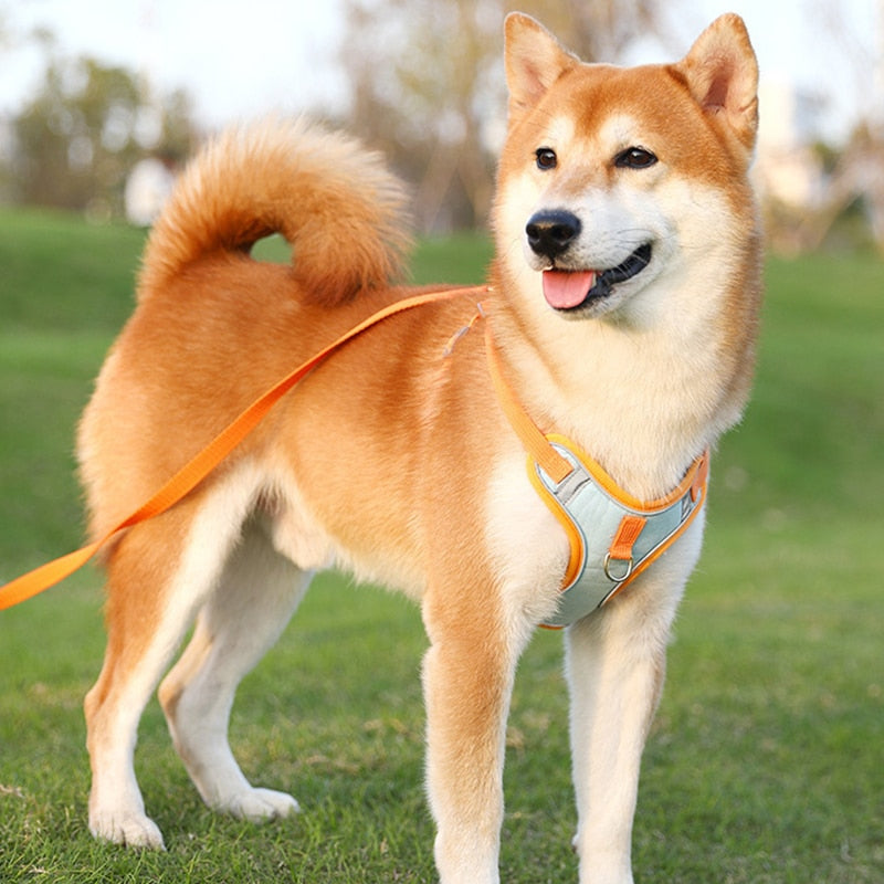 Reflective Puppy Harness - BrightPaw-Blue-S-State of Style
