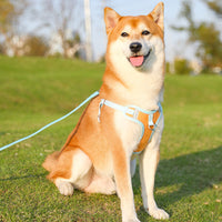 Reflective Puppy Harness - BrightPaw-Blue-S-State of Style