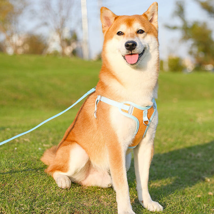 Reflective Puppy Harness - BrightPaw-Blue-S-State of Style