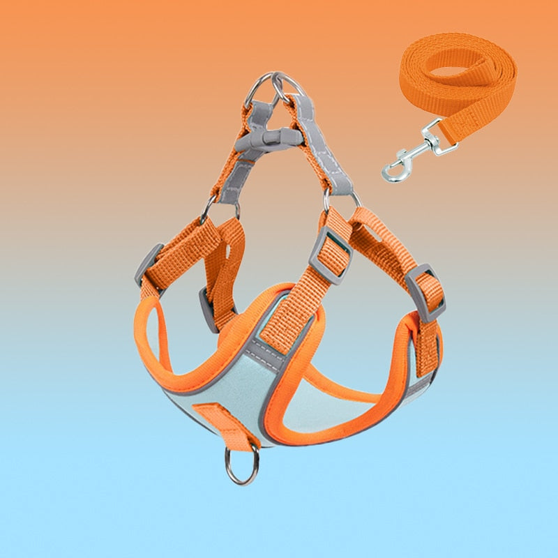 Reflective Puppy Harness - BrightPaw-Blue Set-S-State of Style