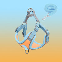 Reflective Puppy Harness - BrightPaw-Yellow Set-S-State of Style