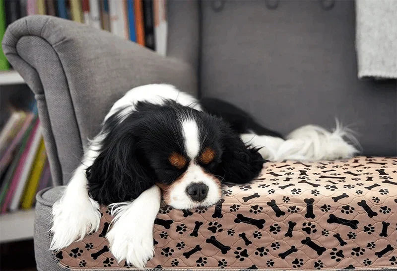 Reusable Plasma for Dogs - EcoPad-Coffee-Bone-Paw-40 x 60 cm-State of Style