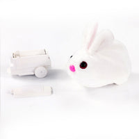 Rolling Cat Toy - FurryRoller-Hare-State of Style