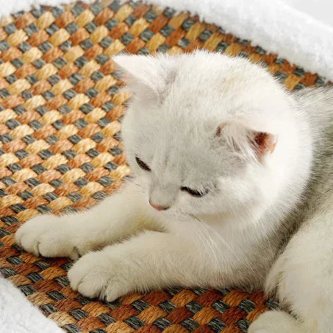 Scratching Bed for Cats - PurrLuxe-State of Style