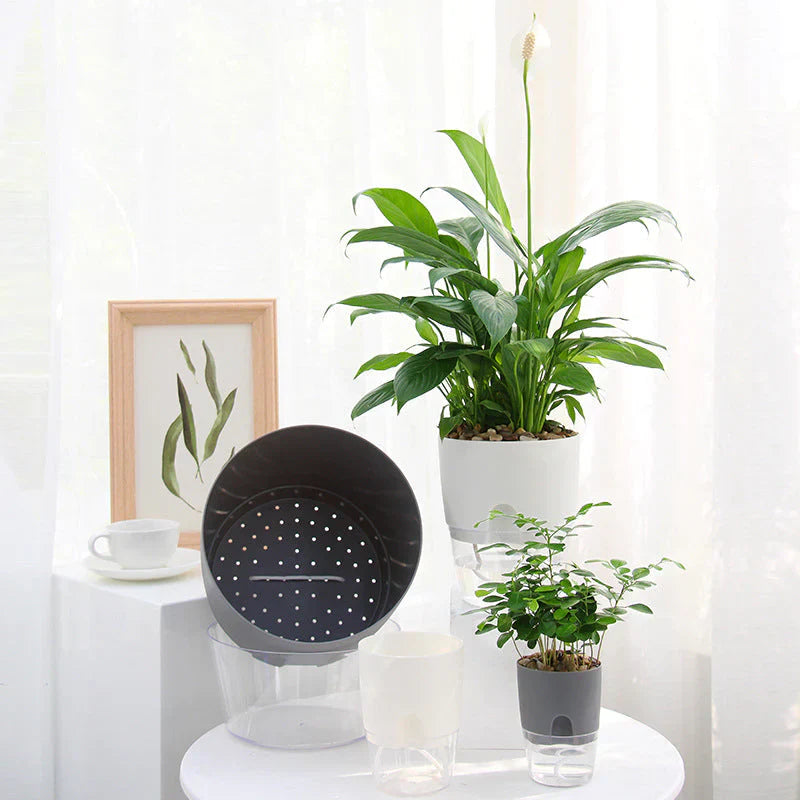 Self-Watering Plant Pot - AquaBloom-Grey-S-State of Style
