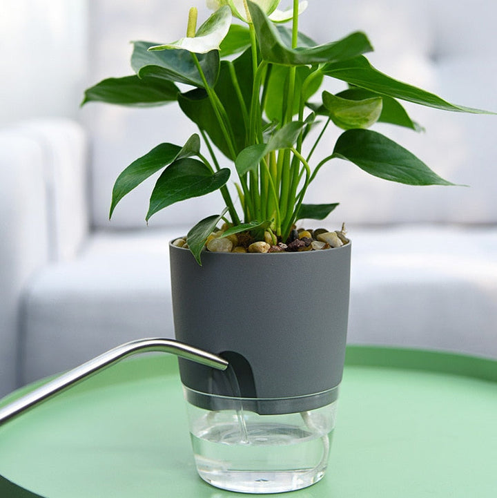 Self-Watering Plant Pot - AquaBloom-Grey-S-State of Style