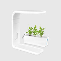 Slim Hydroponic Plant System for Indoors - GreenBloom Hydro-White-State of Style