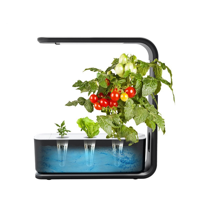 Slim Indoor Hydroponic Plant System – GreenBloom Hydro-Black-State of Style