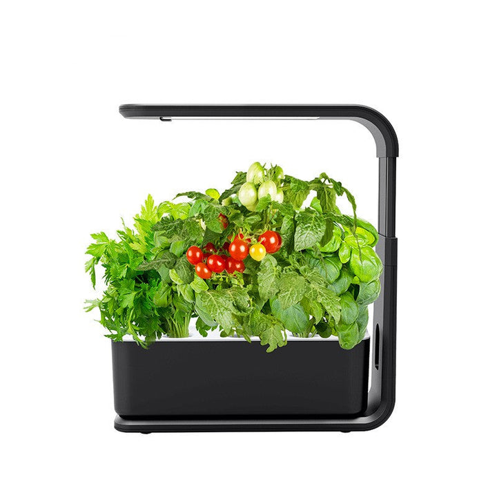Slim Indoor Hydroponic Plant System – GreenBloom Hydro-Black-State of Style