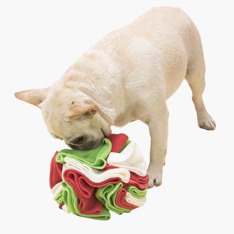 Snuffle Ball for Dogs - PawMaze-Green - Red-15 cm-State of Style