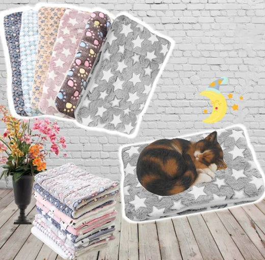 SnuggleSoft Warm Cat Blanket-S-Grey & Stars-State of Style