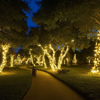 Solar Energy Ambient Lighting - SoliGlow-Warm-500 cm-State of Style