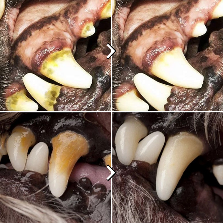 Sturdy Dog Tug Toy - PlayPaw-Blue + Pink-State of Style