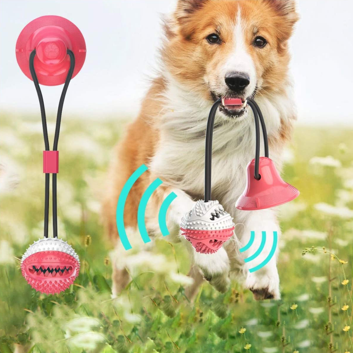 Sturdy Dog Tug Toy - PlayPaw-Blue + Pink-State of Style