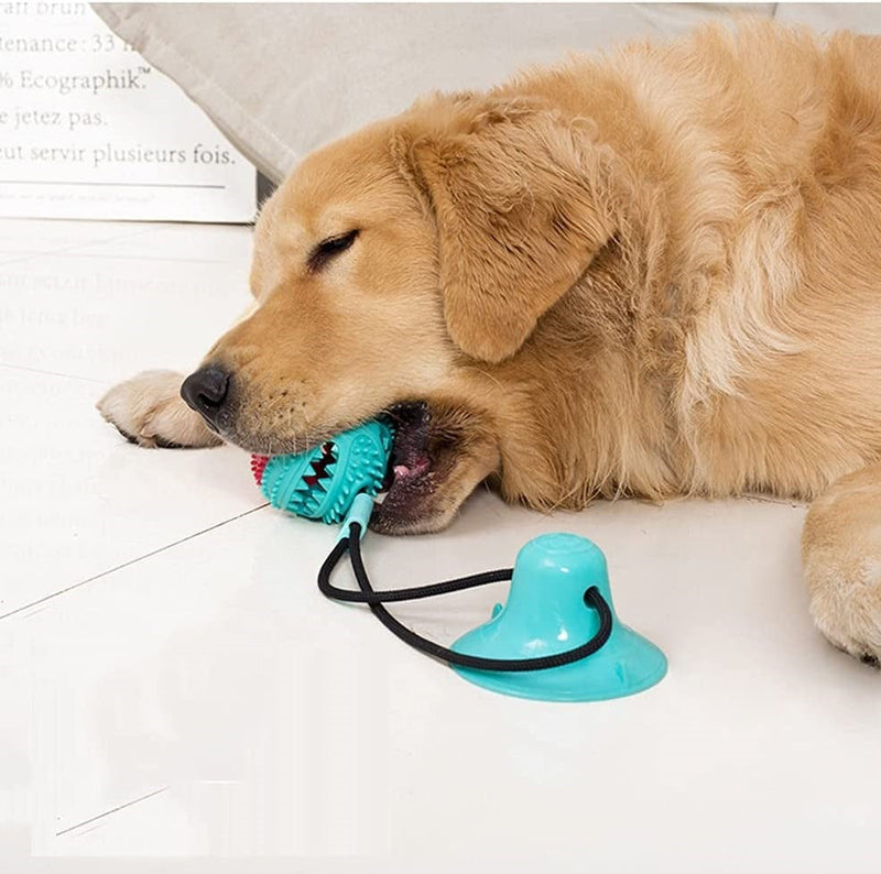 Sturdy Dog Tug Toy - PlayPaw-Blue + Pink-State of Style