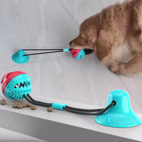 Sturdy Dog Tug Toy - PlayPaw-Blue + Pink-State of Style