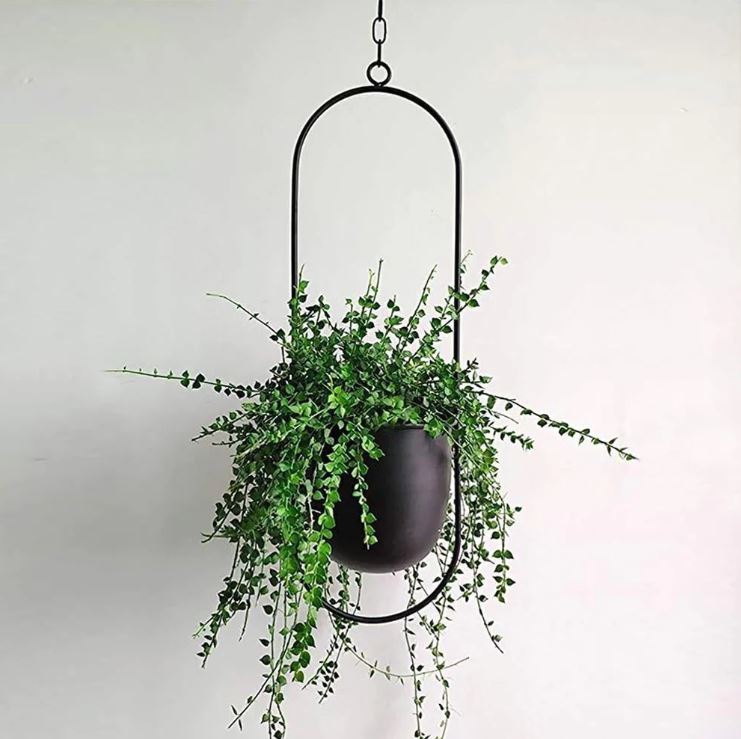 Stylish Indoor and Outdoor Plant Hanger - LeafLuxe-Oval-Black-State of Style