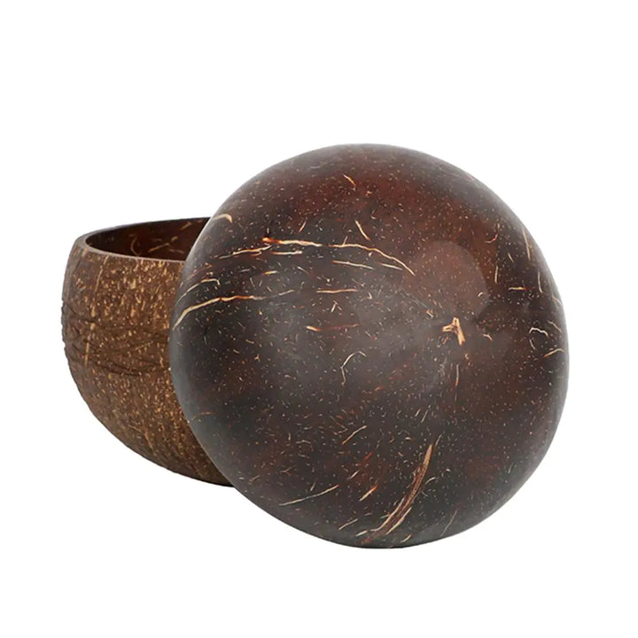 Sustainable Coconut Shell Food Containers - TropiBowl-State of Style