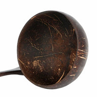Sustainable Coconut Shell Food Containers - TropiBowl-State of Style
