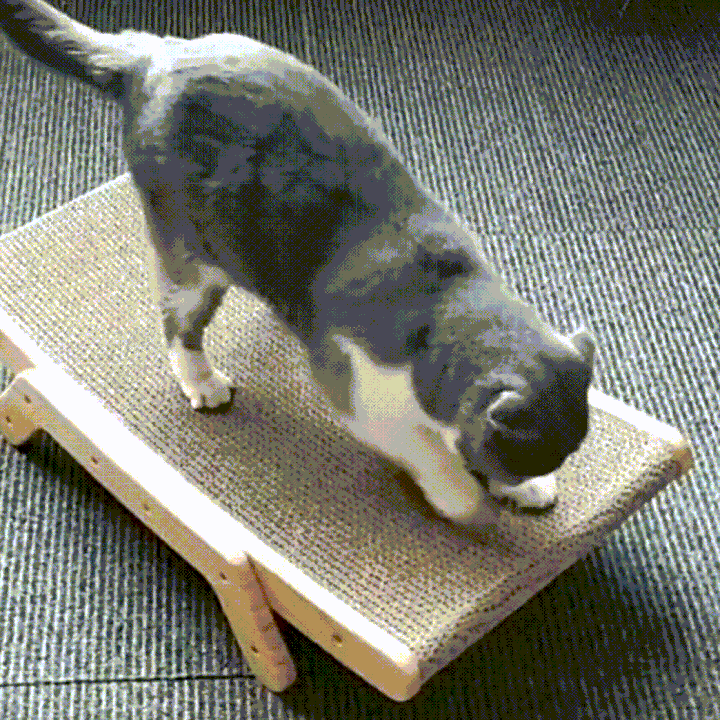 The 3-in-1 Cat Scratcher and Lounger - ClawLounge™-State of Style