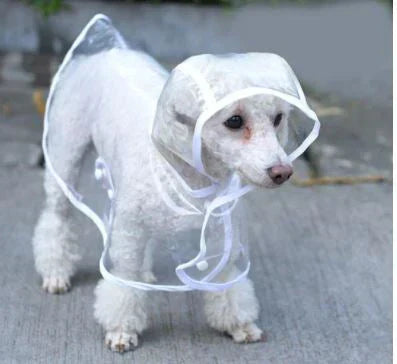 Transparent Waterproof Raincoat for Dogs - DryPaw-White-XS-State of Style