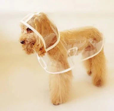 Transparent Waterproof Raincoat for Dogs - DryPaw-White-XS-State of Style