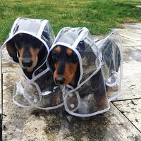 Transparent Waterproof Raincoat for Dogs - DryPaw-White-XS-State of Style