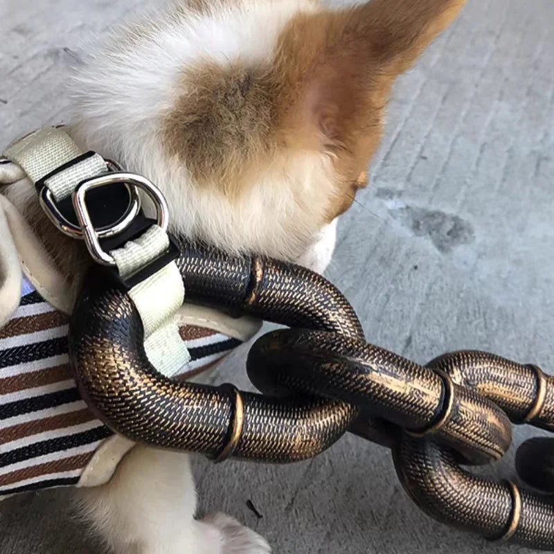 Trendy and Fun Dog Leash - PawChic-Bronze-1.5m-State of Style