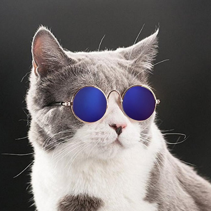Trendy Cat Sunglasses - KittyShades-Black-State of Style