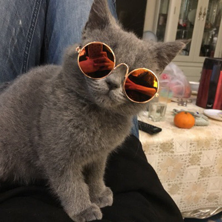 Trendy Cat Sunglasses - KittyShades-Black-State of Style