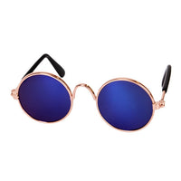 Trendy Cat Sunglasses - KittyShades-Black-State of Style
