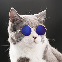 Trendy Cat Sunglasses - KittyShades-Black-State of Style