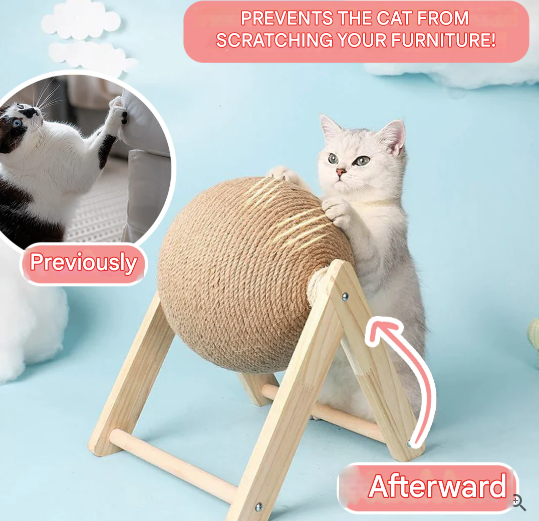 Versatile Cat Toy - CatScratch Wonderland-Small (12 cm Diameter)-State of Style