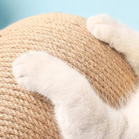 Versatile Cat Toy - CatScratch Wonderland-Small (12 cm Diameter)-State of Style