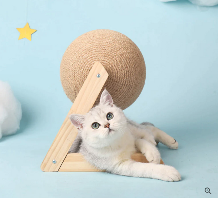 Versatile Cat Toy - CatScratch Wonderland-Small (12 cm Diameter)-State of Style