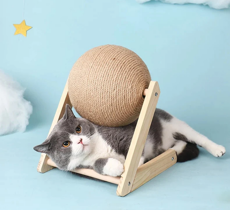 Versatile Cat Toy - CatScratch Wonderland-Small (12 cm Diameter)-State of Style