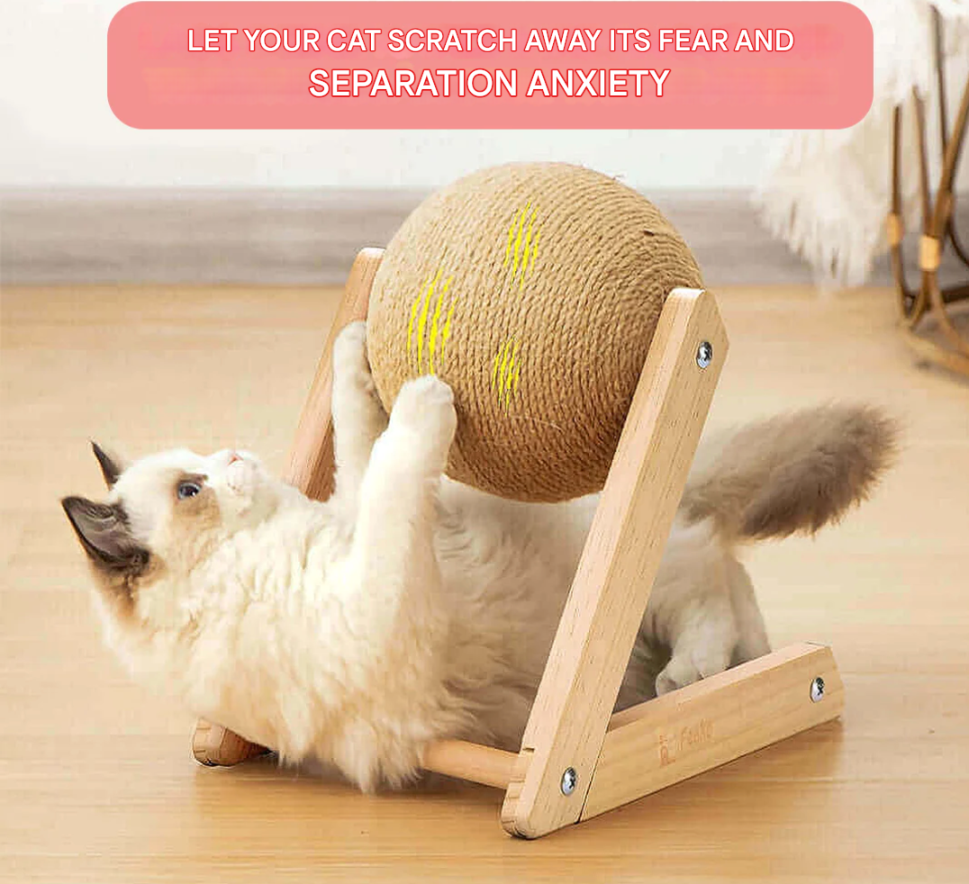 Versatile Cat Toy - CatScratch Wonderland-Small (12 cm Diameter)-State of Style