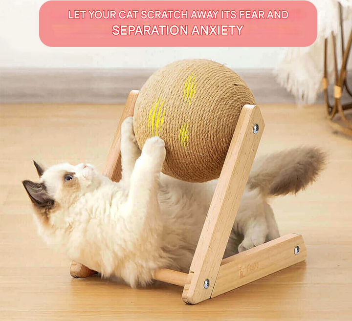 Versatile Cat Toy - CatScratch Wonderland-Small (12 cm Diameter)-State of Style