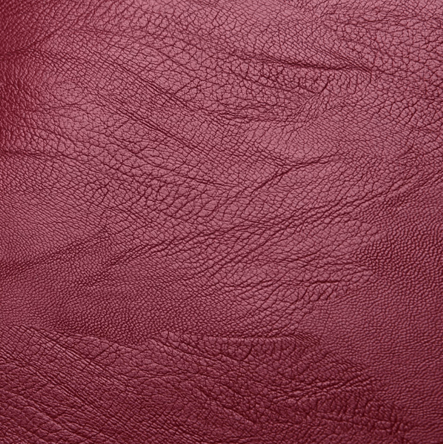 Premium Water-Resistant Leather Backpack for Women