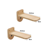Wall Climbing Board for Cats with Scratching Post - ClimbPaws-First Step-State of Style