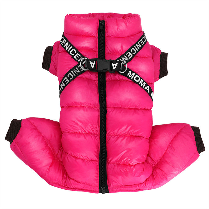 Winter coat for Dogs - ArcticPaws-Black-S-State of Style